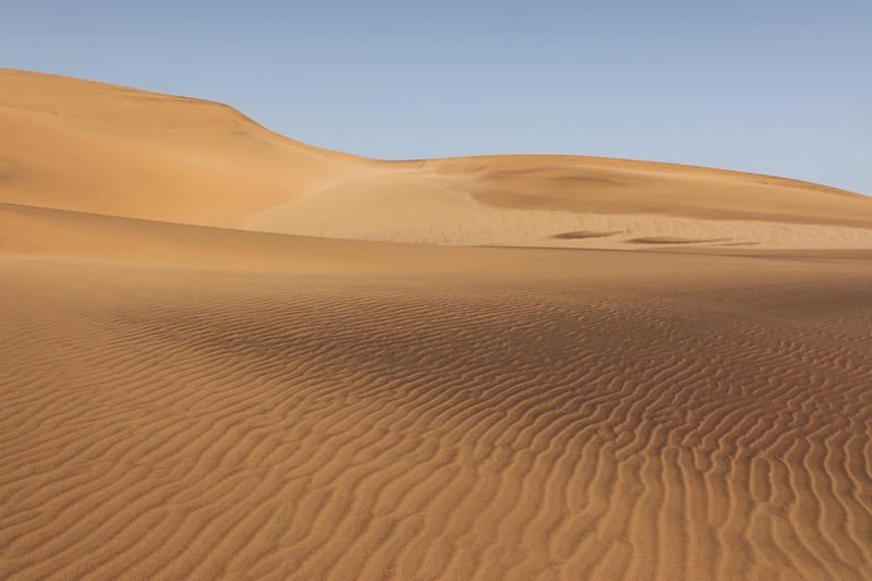 Wonderland Valley in Mirage Realm