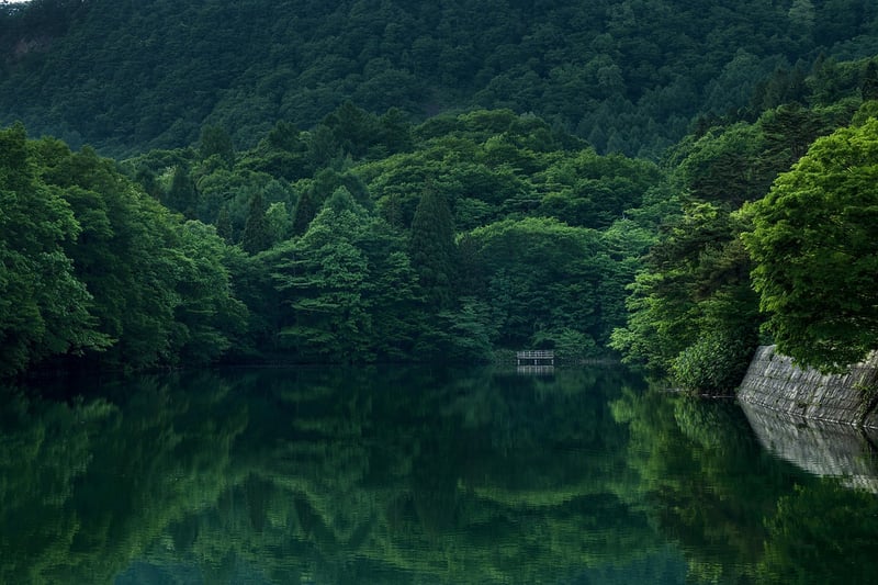 Enchanted Forest of Eldoria